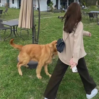 屌飞船奇遇记