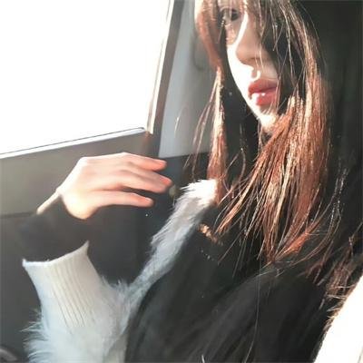 红狐